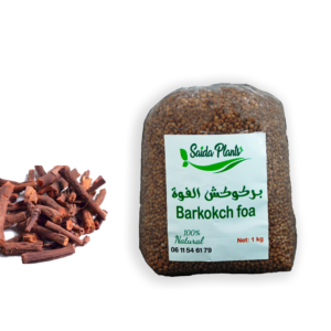 Barkokch Foa